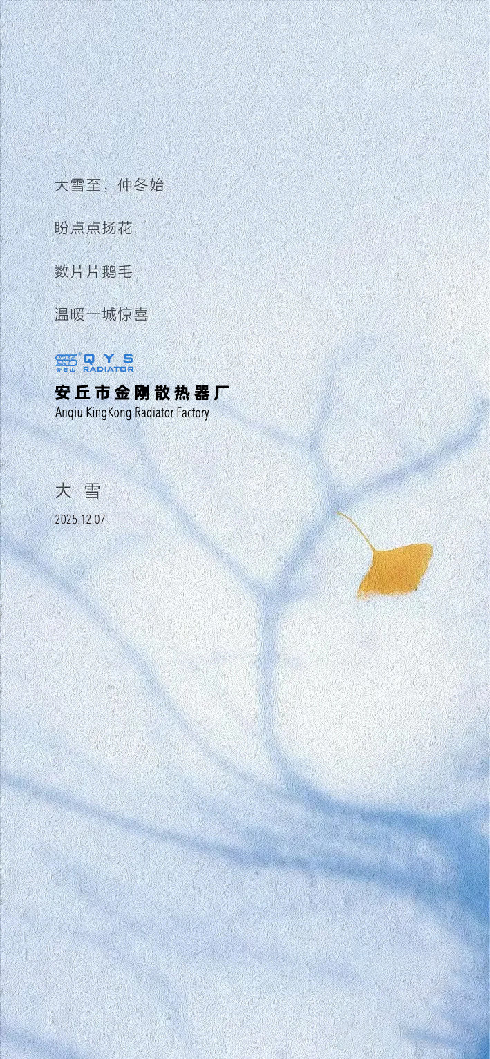 Q大雪.jpg